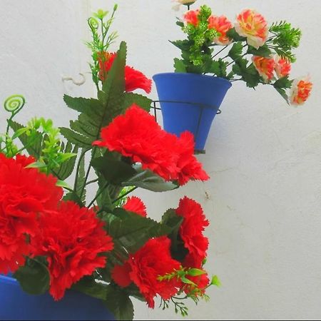 Apartamento Casa Mozarabe Córdoba Exteriér fotografie